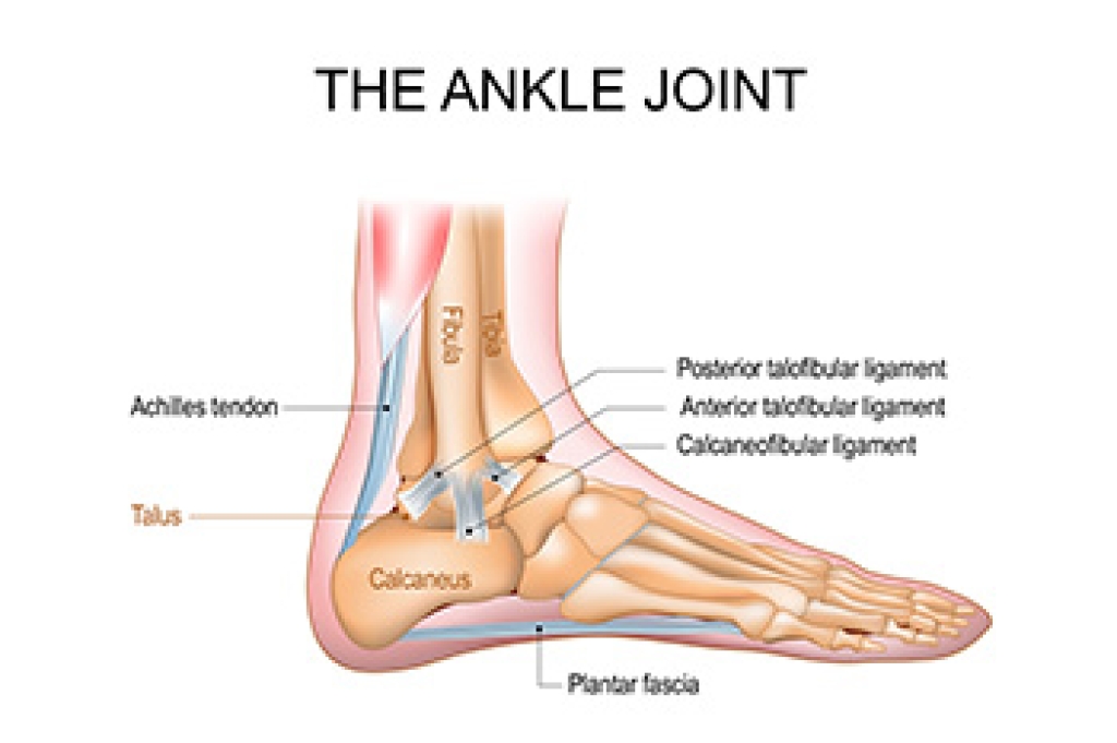 Understanding Joint Pain and Foot Surgery